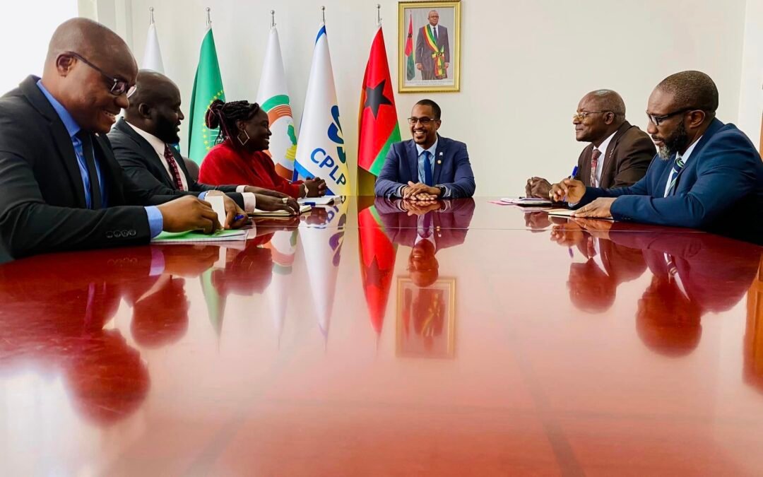 MINISTRO DOS TRANSPORTES, TELECOMUNICAÇÕES E ECONOMIA DIGITAL, REÚNE-SE COM DELEGAÇÃO DO BANCO DE DESENVOLVIMENTO DA ÁFRICA OCIDENTAL